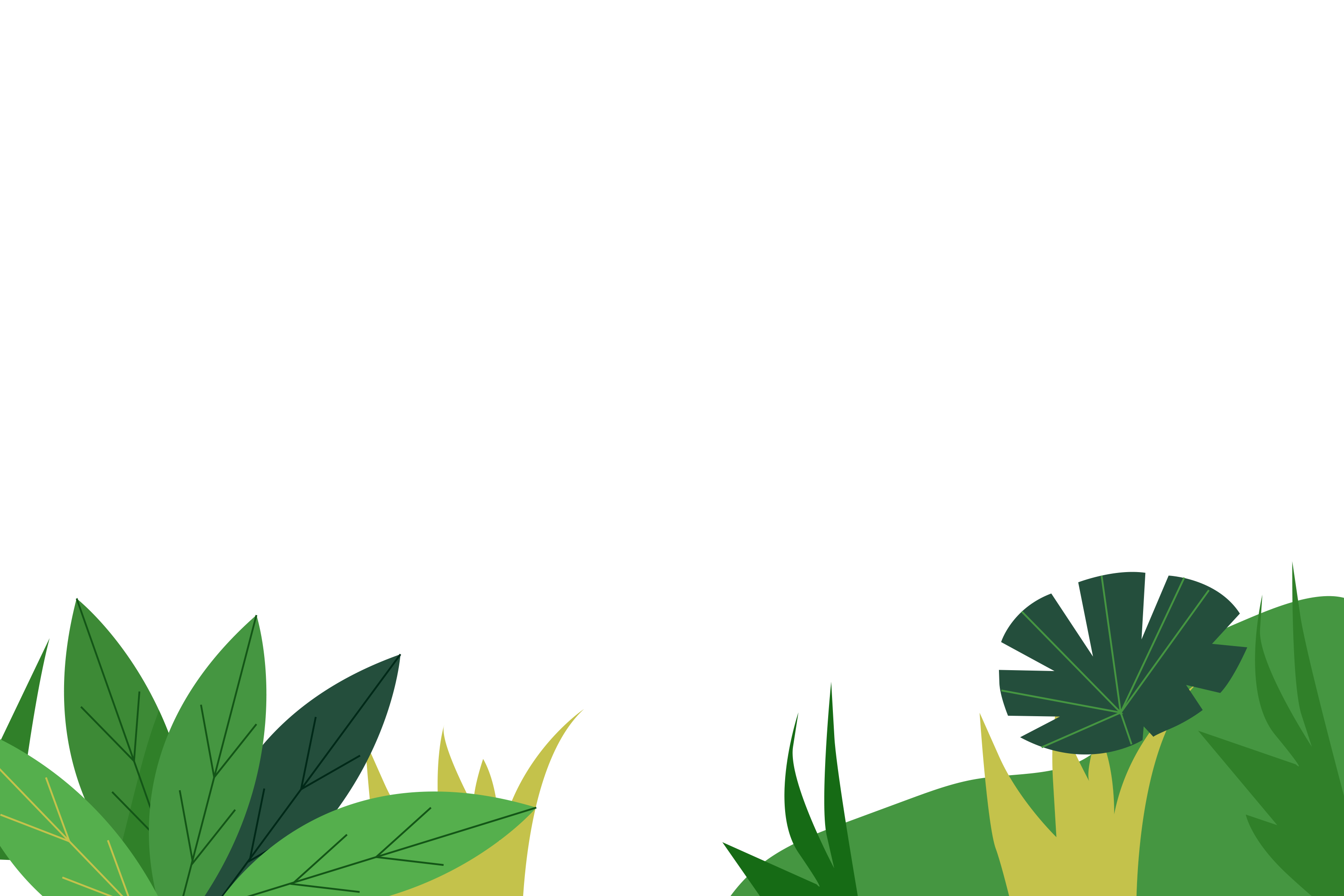 layer_3